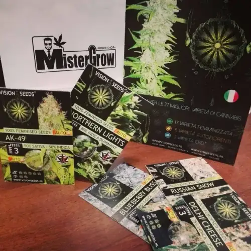 Vision Seeds