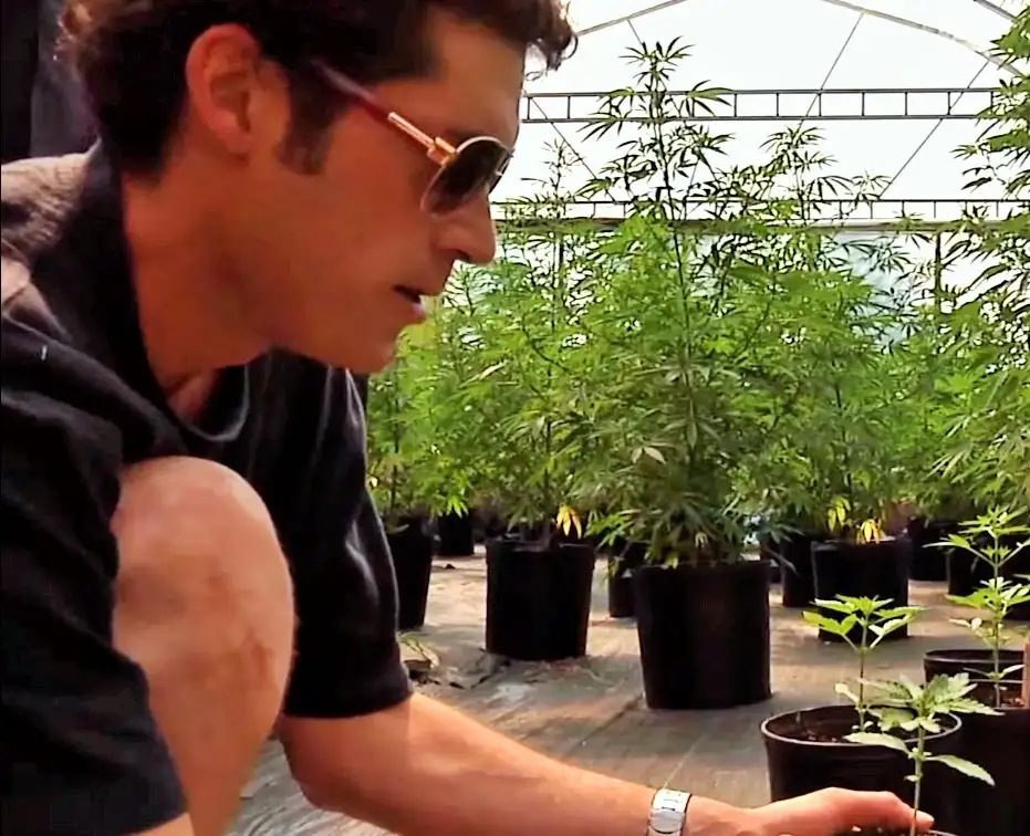 Joint Doctor Lowryder