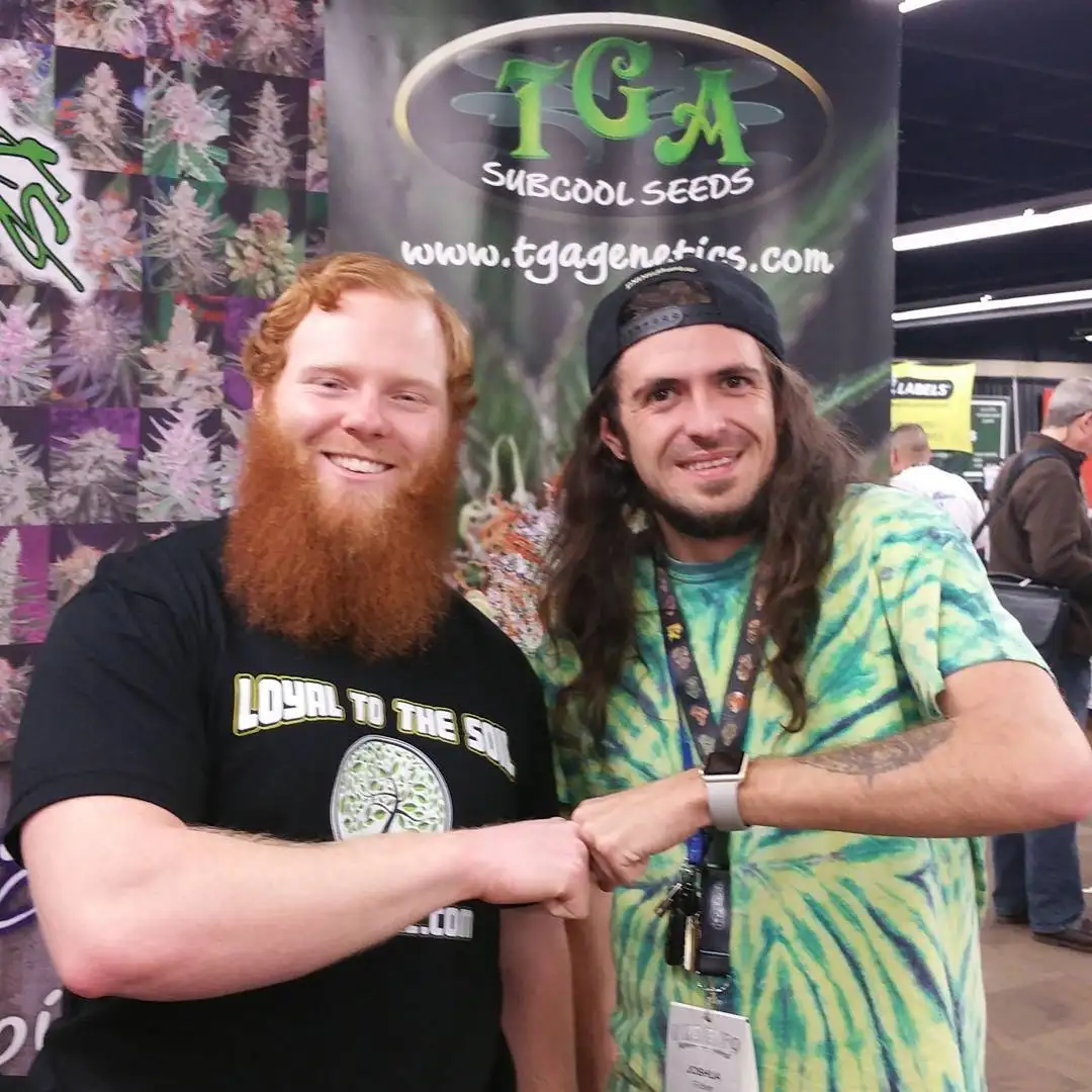 TGA Genetics Subcool Seeds