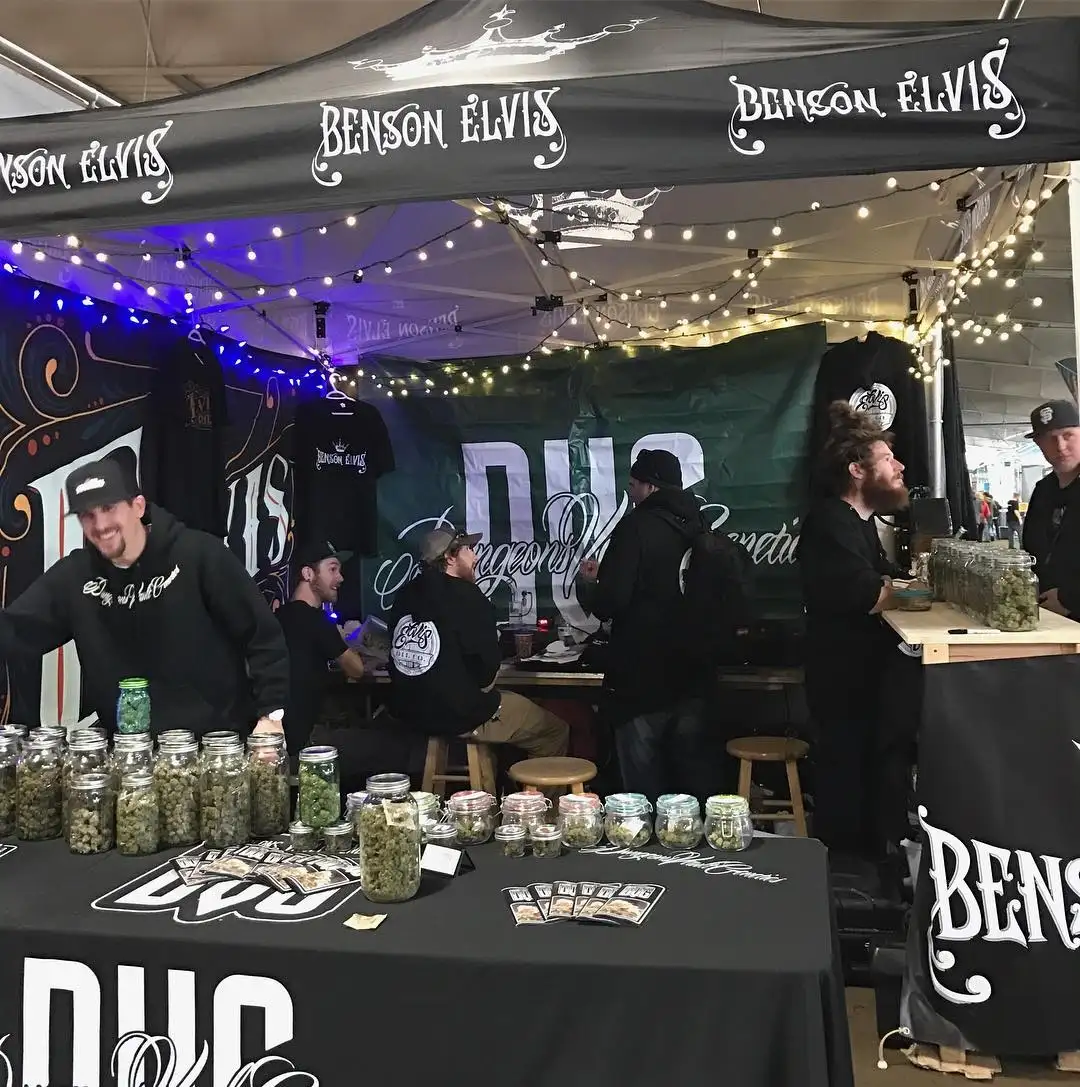 Dungeons Vault Genetics