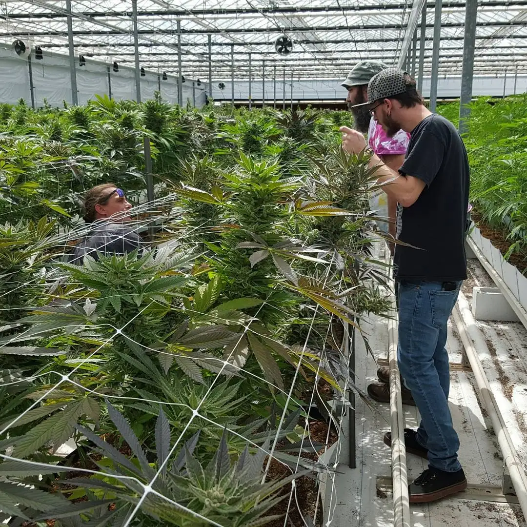 Homegrown Natural Wonders