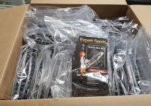 Expert Seeds