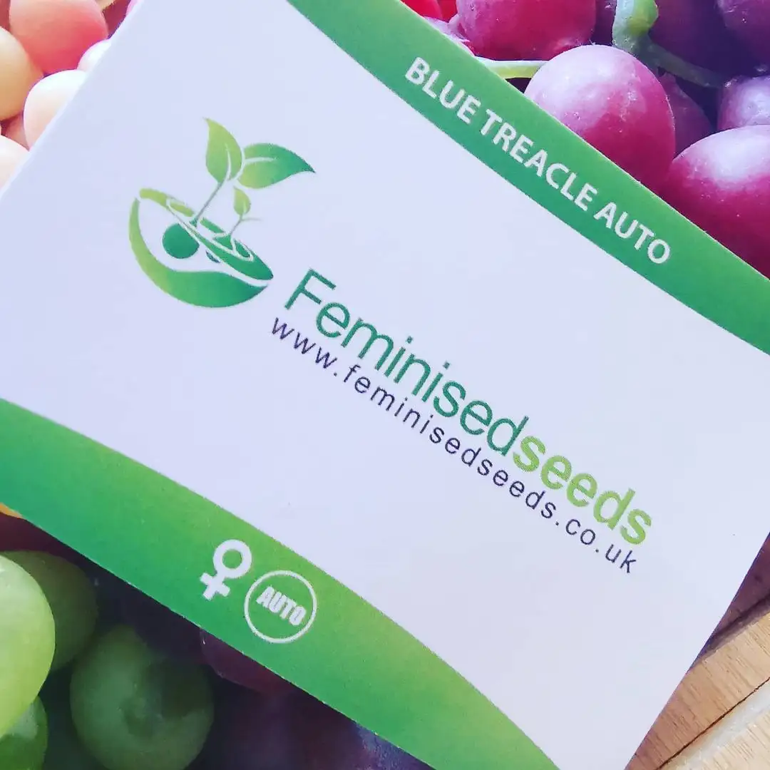 Feminised Seeds Company