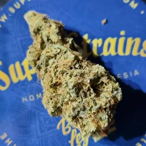 Super Strains