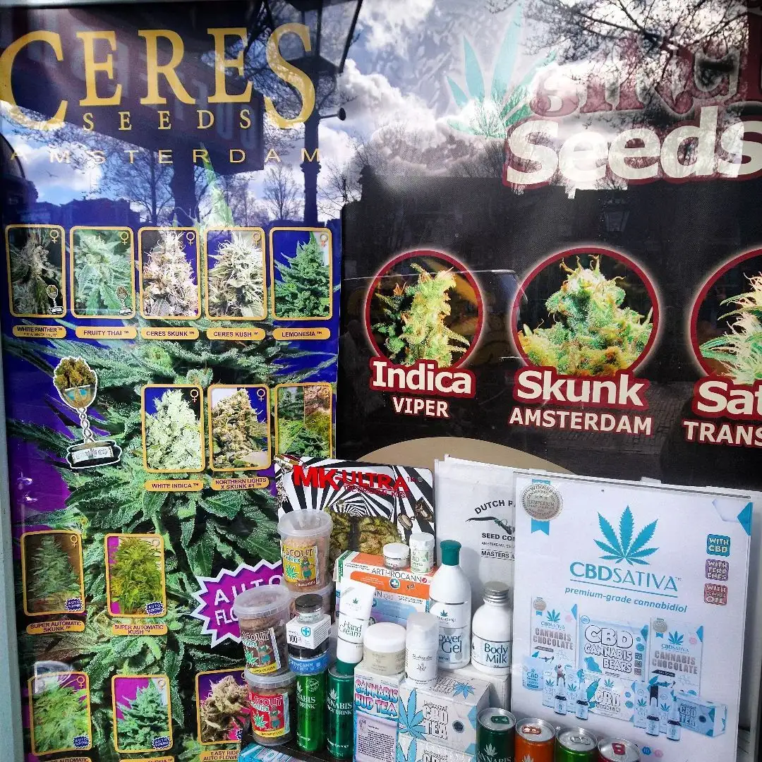 Ceres seeds