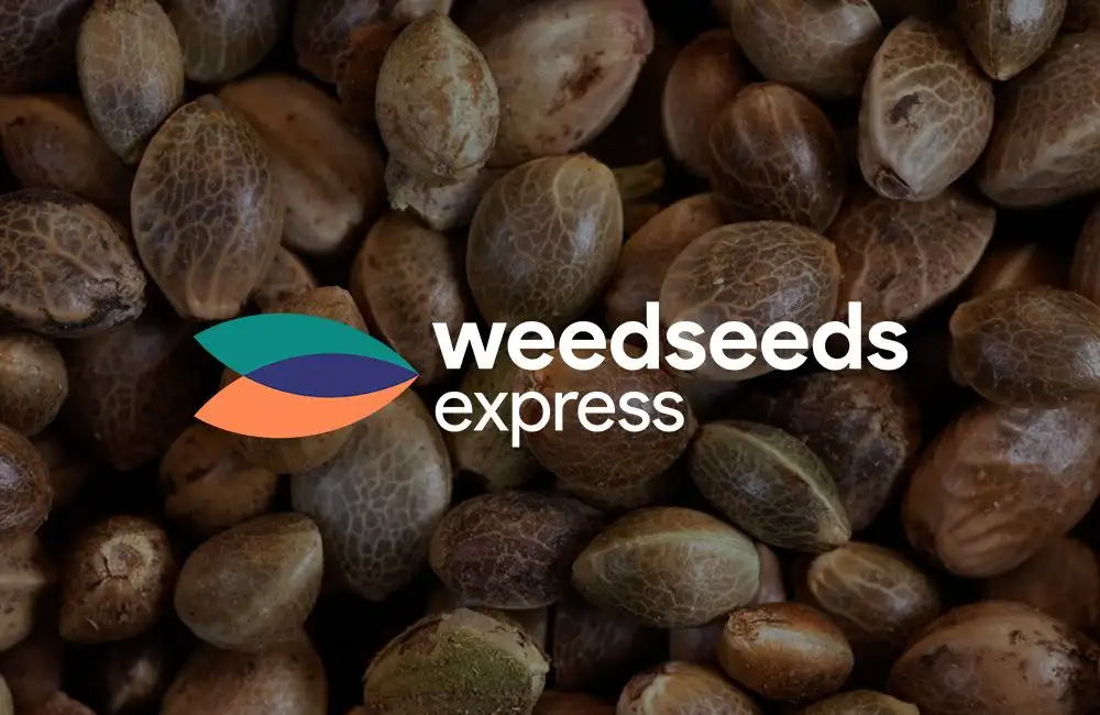 WeedSeedsExpress