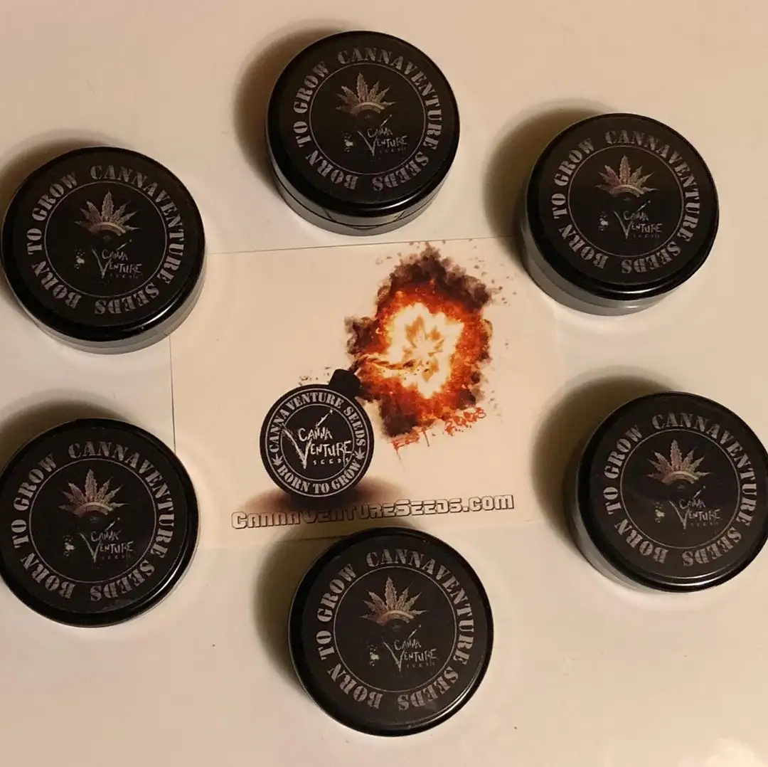 Cannaventure Seeds