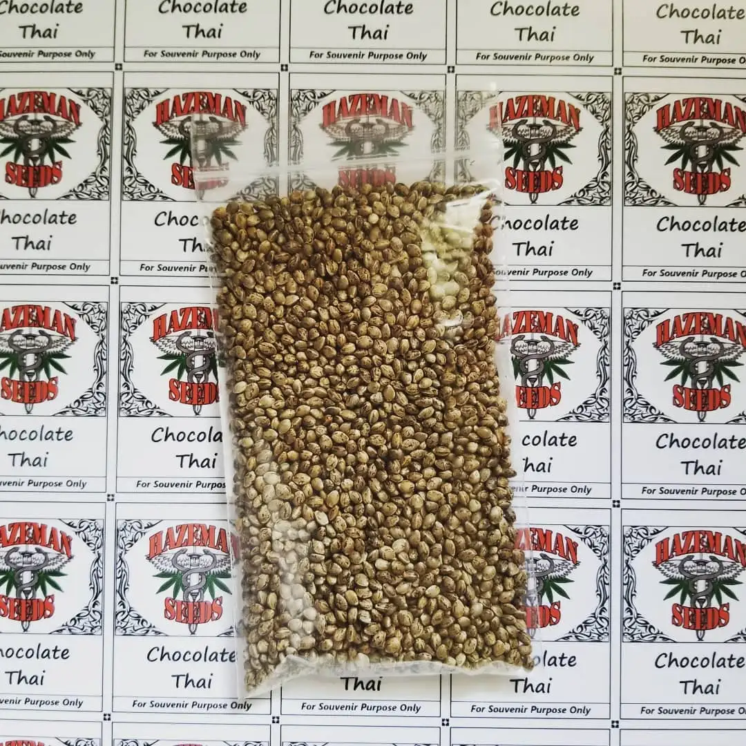 Hazeman Seeds