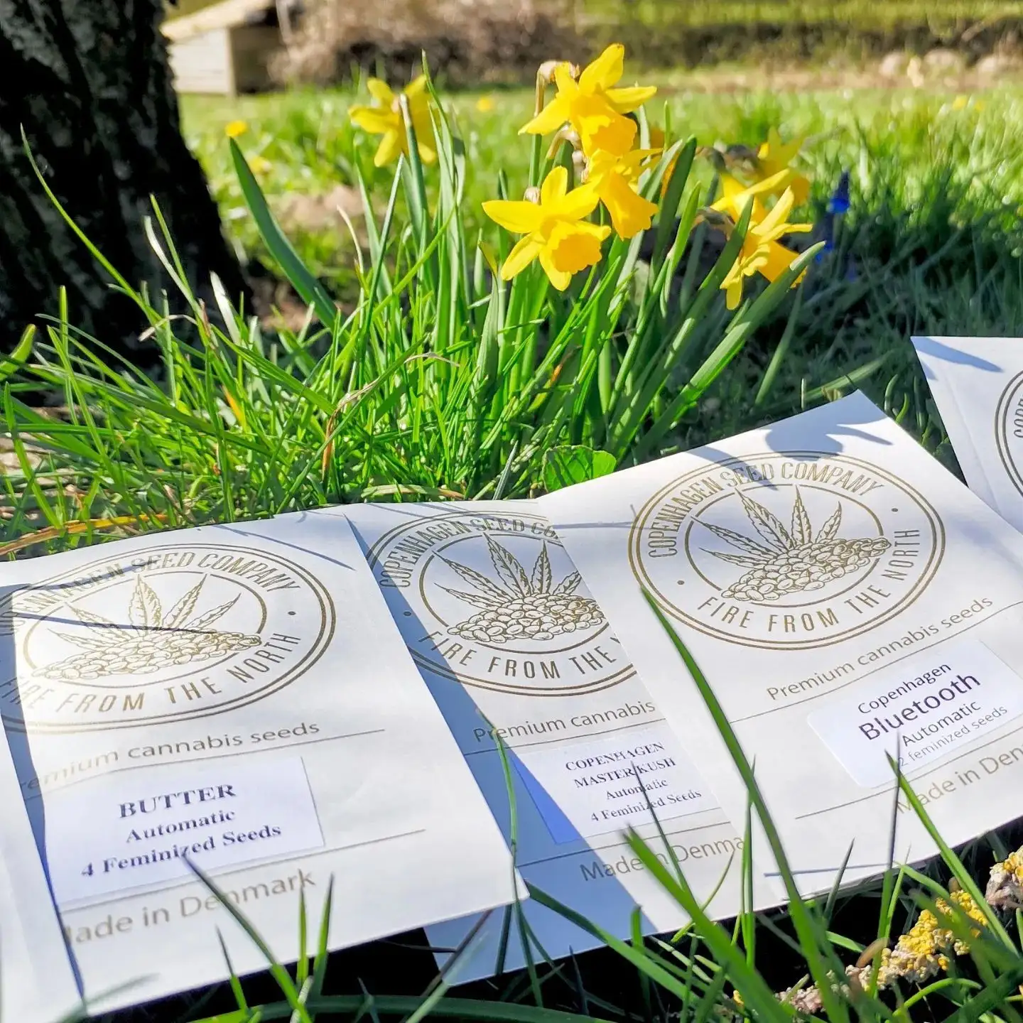 Copenhagen Seed Company