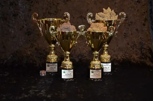 Norstar Genetics