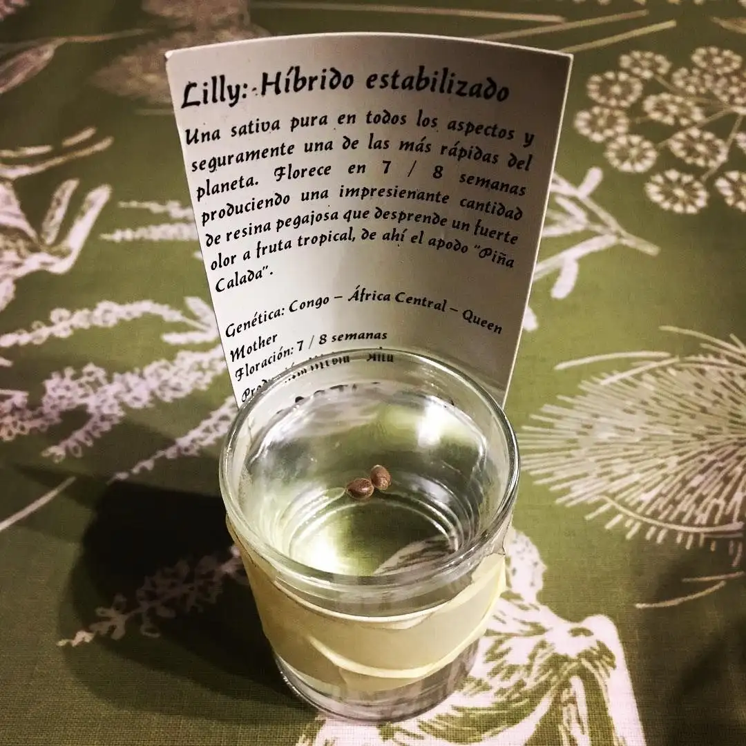 Original Delicatessen