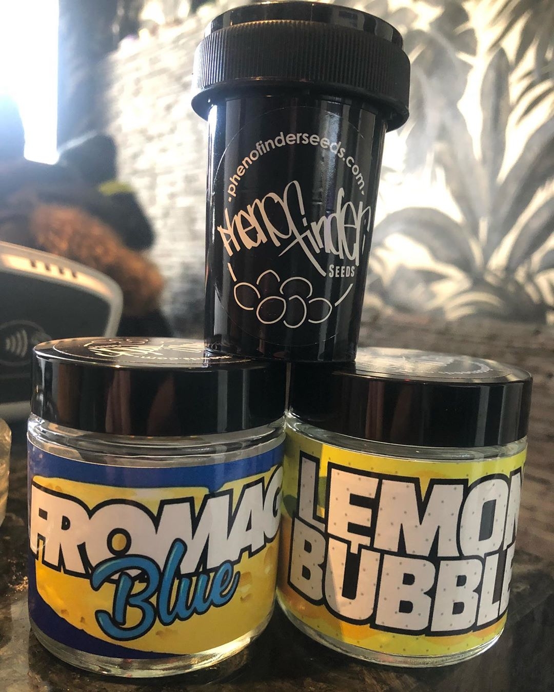 Pheno Finder Seeds breeder. Seed bank info GrowDiaries