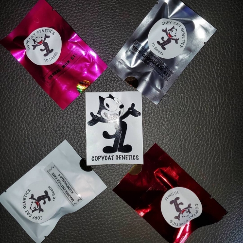 CopyCat breeder. Seed bank info GrowDiaries