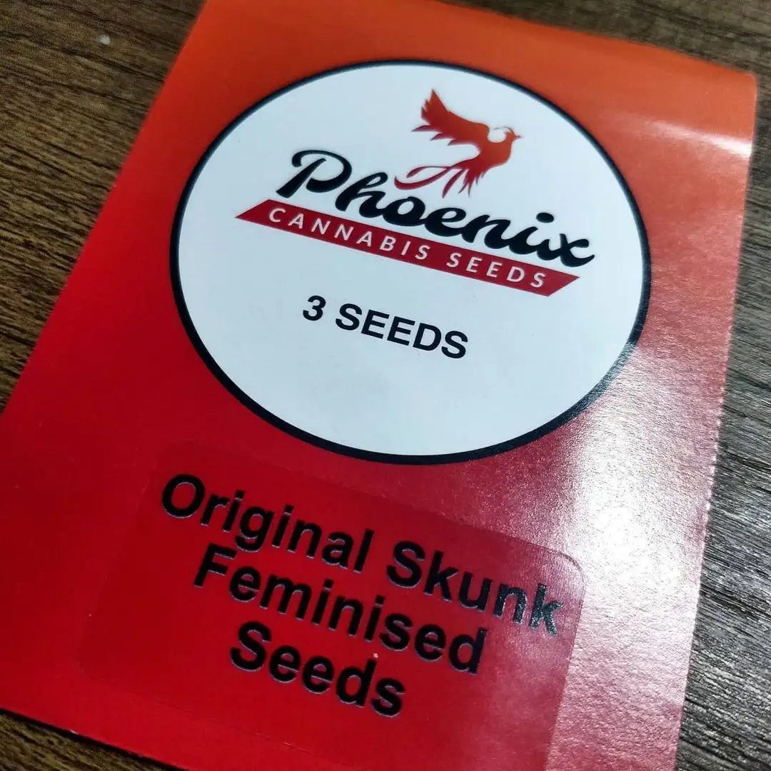 Phoenix Seeds