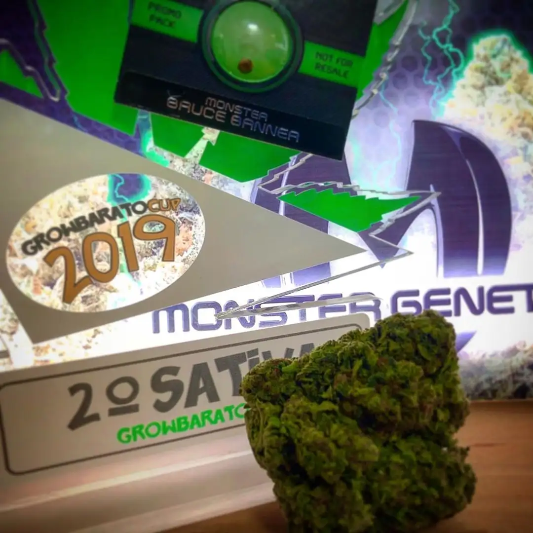 Monster Genetics