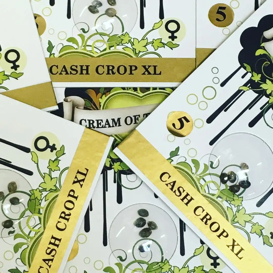 Cream of the Crop Seeds