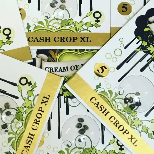 Cream of the Crop Seeds