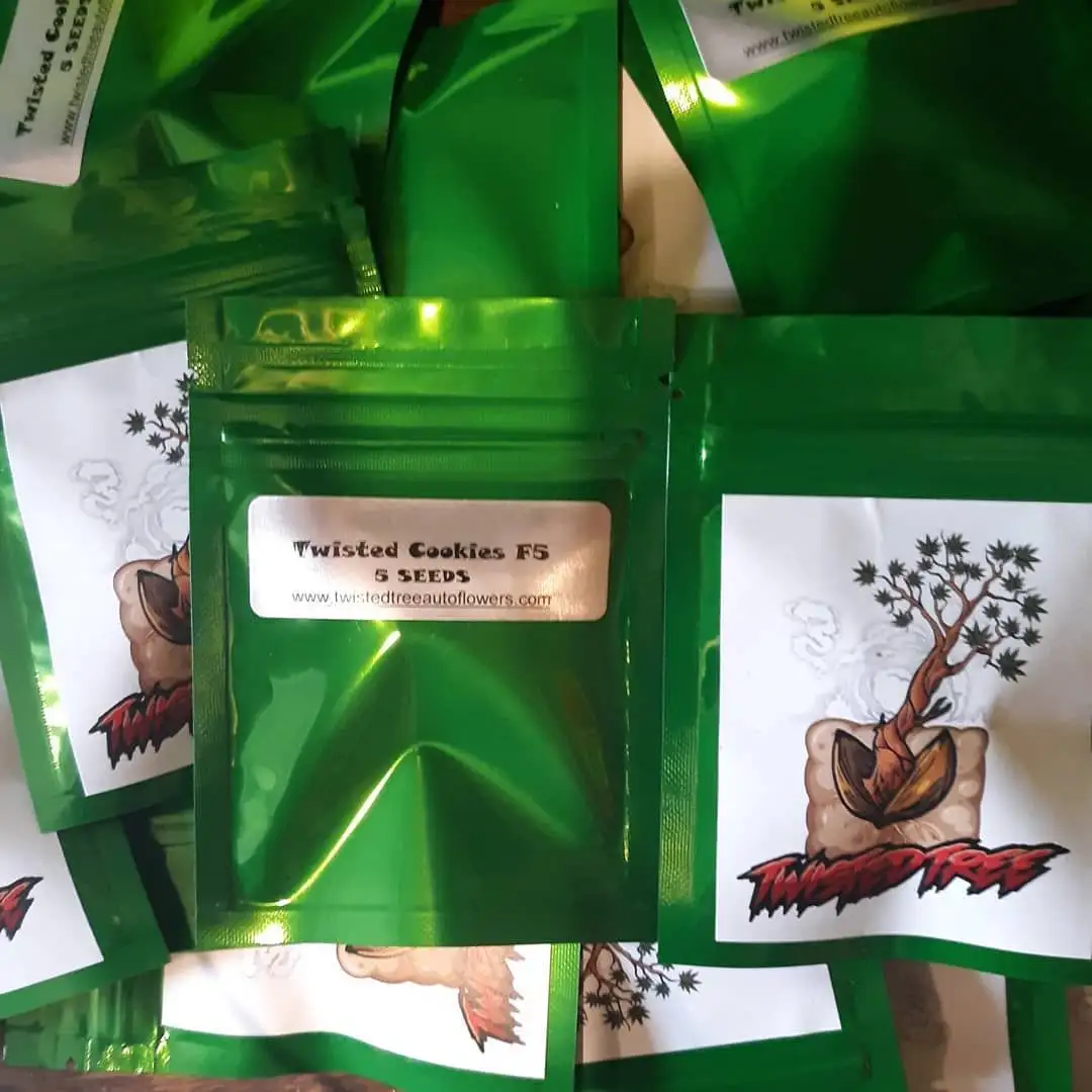 Twisted Tree Autoflowers