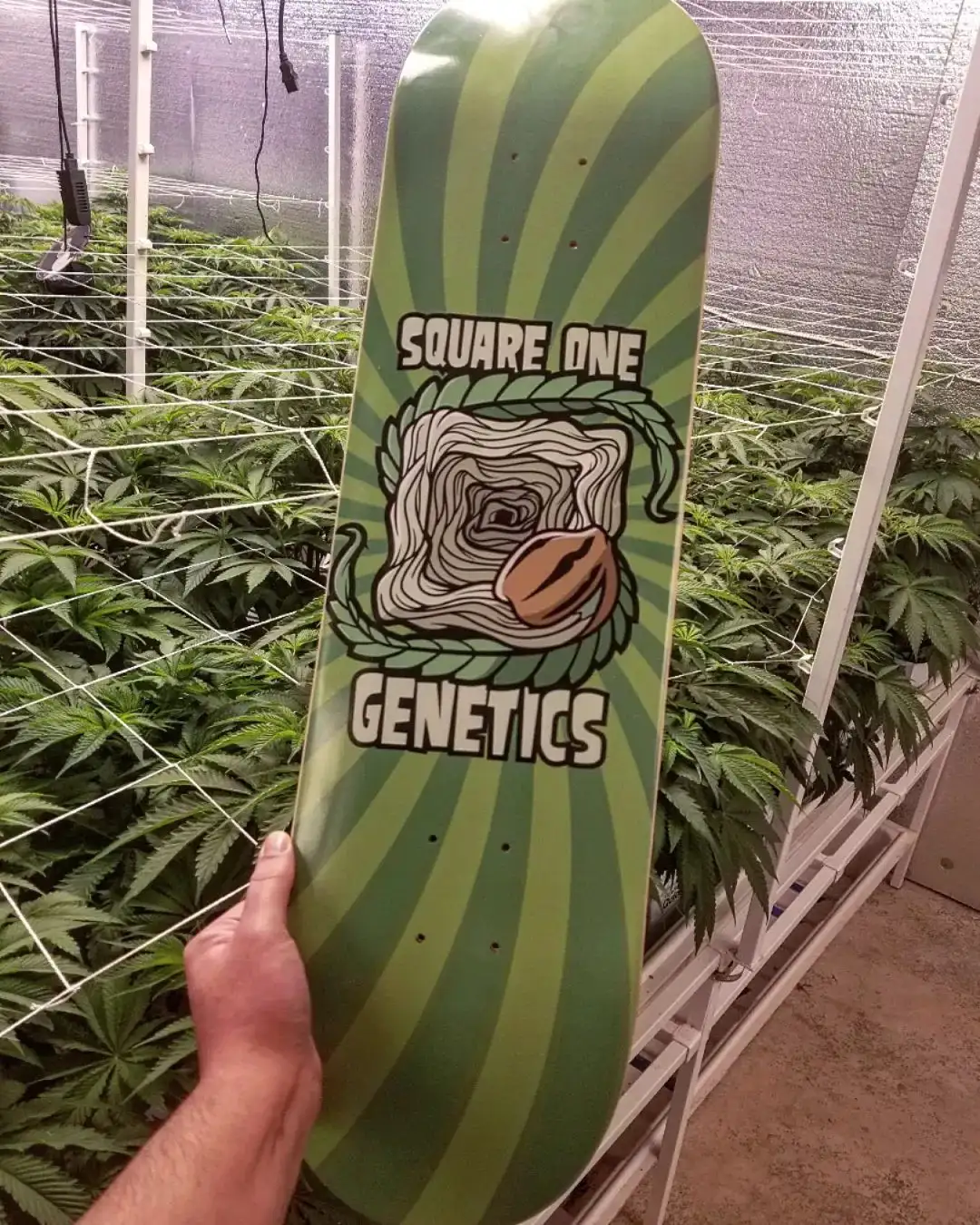 Square One Genetics