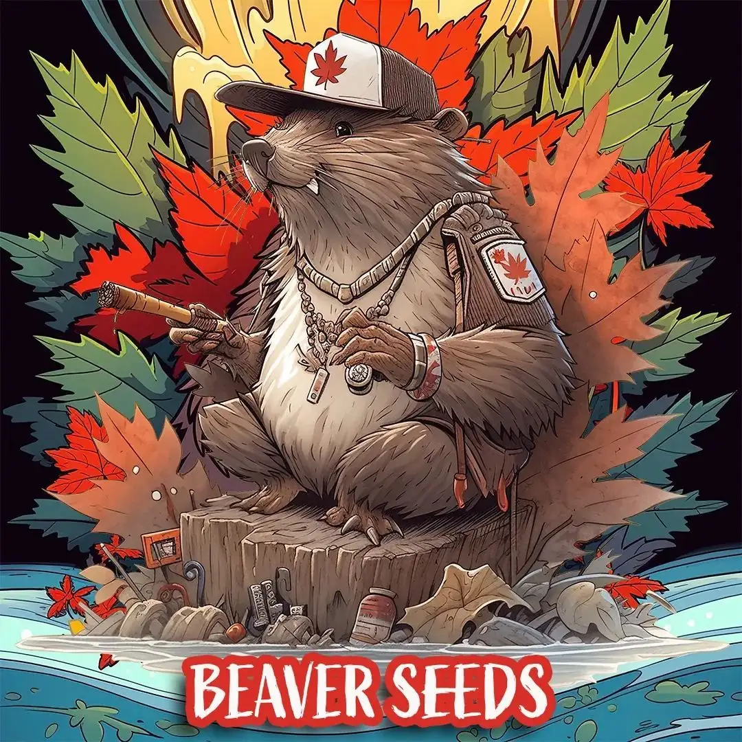 Beaver Seeds