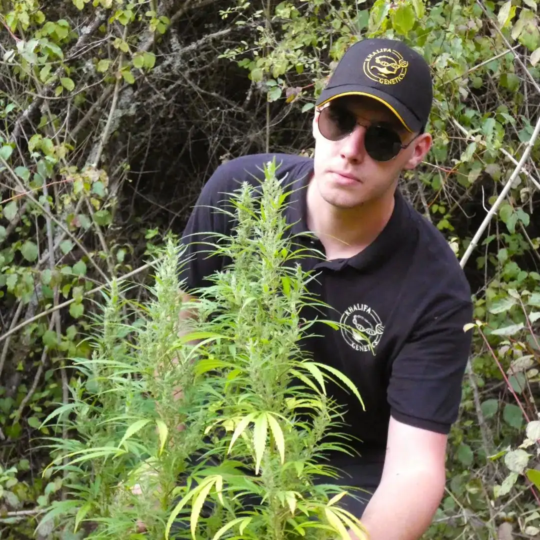 Khalifa Genetics