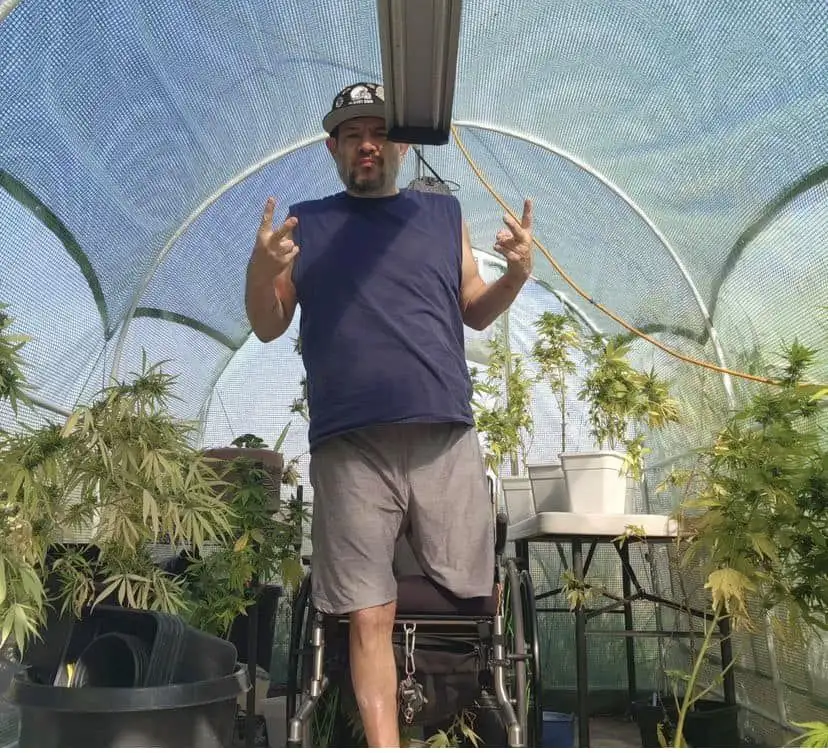 Brother Mendel’s Selection