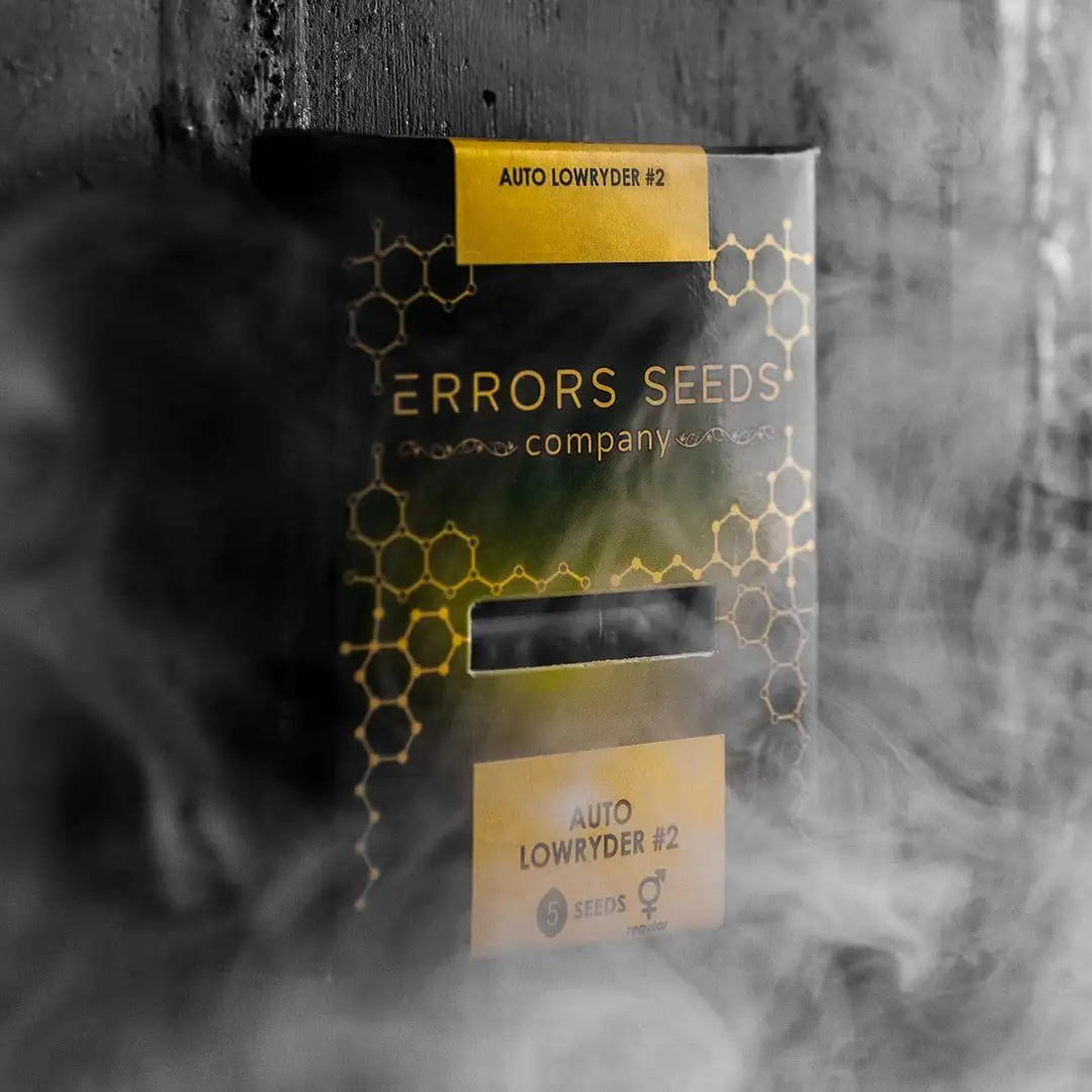 Errors Seeds
