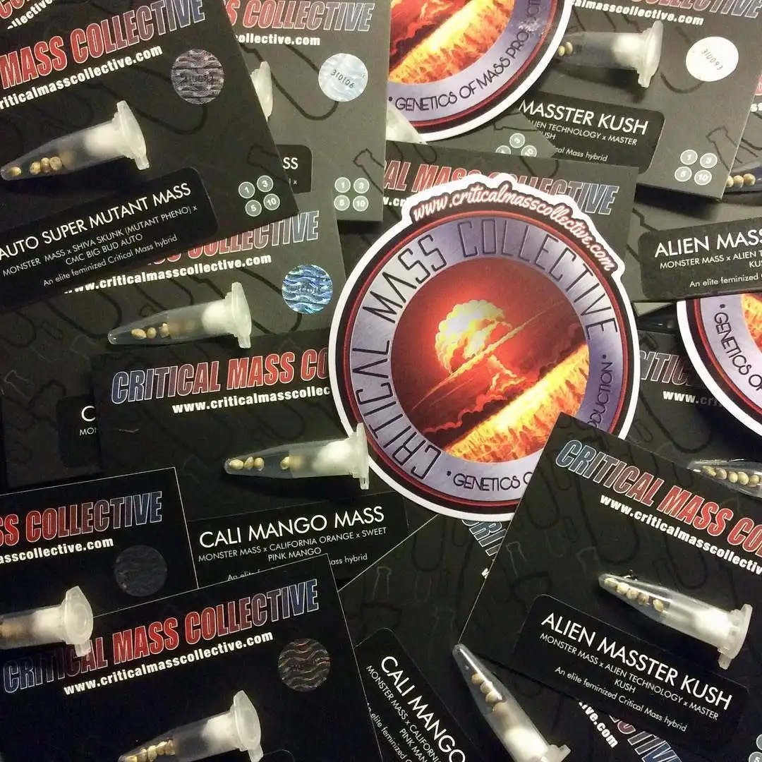 Critical Mass Collective