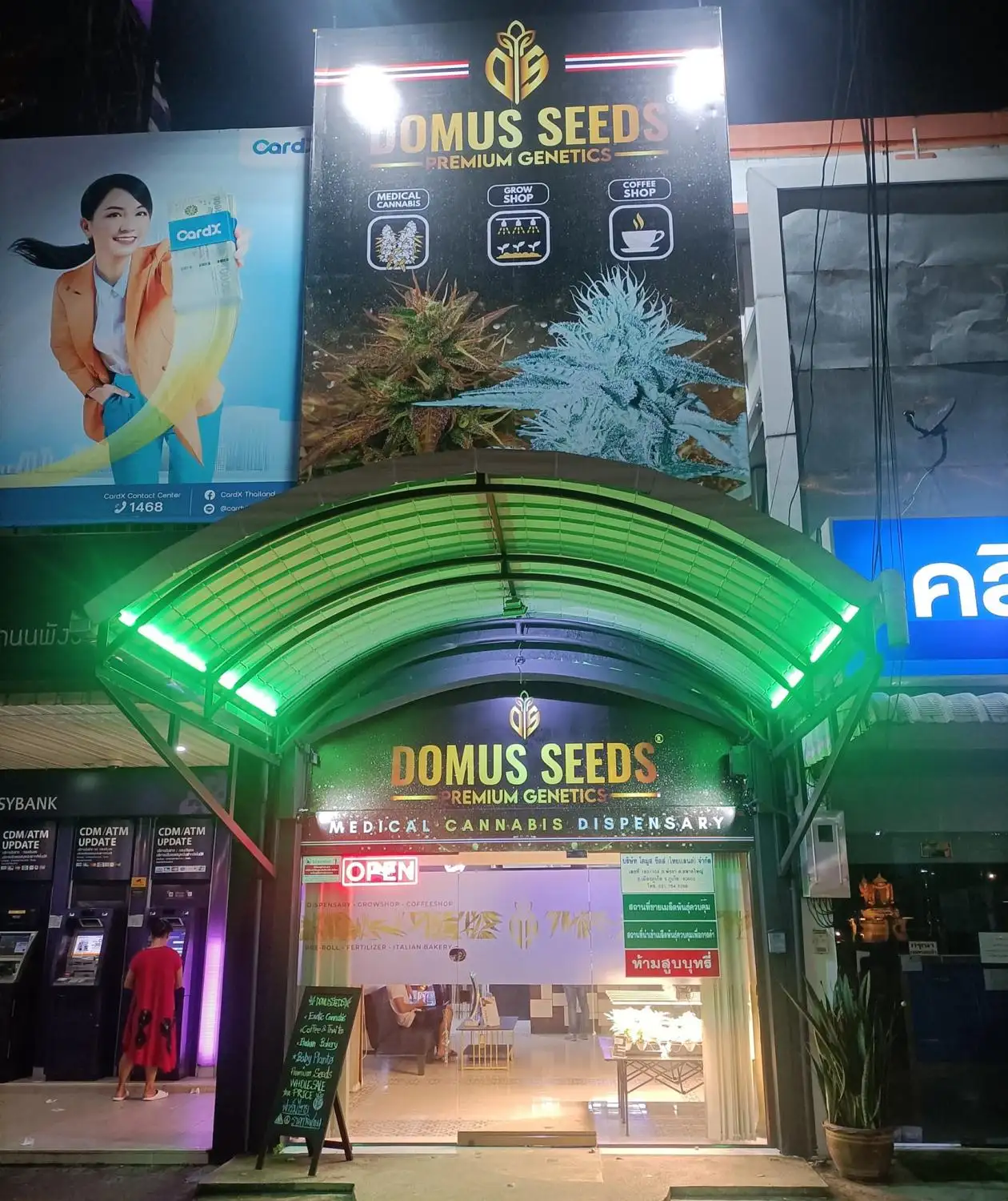 Domus Seeds
