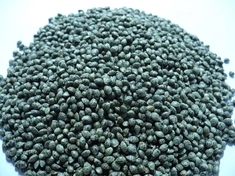 The Real Seed Company