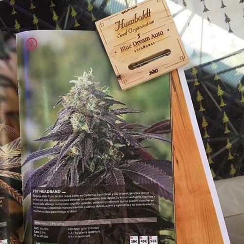 Humboldt Seed Organization breeder. Seed bank info GrowDiaries