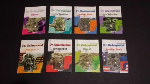 Dr. Underground