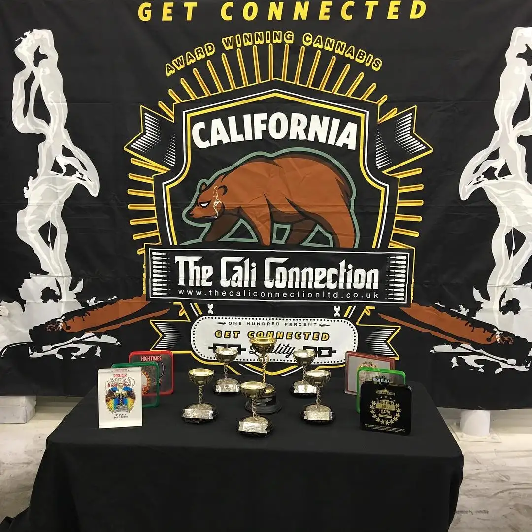 The Cali Connection