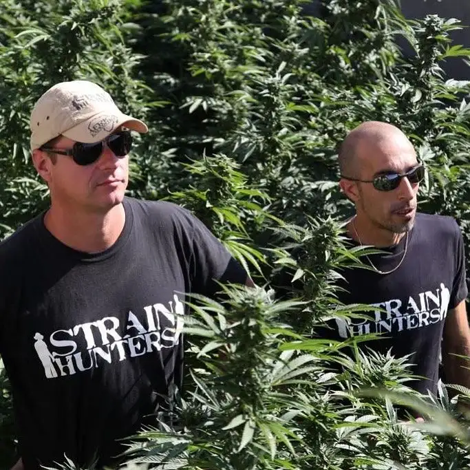 Strain Hunters
