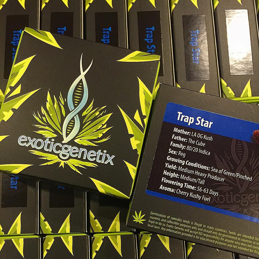 Exotic breeder. Seed bank info GrowDiaries