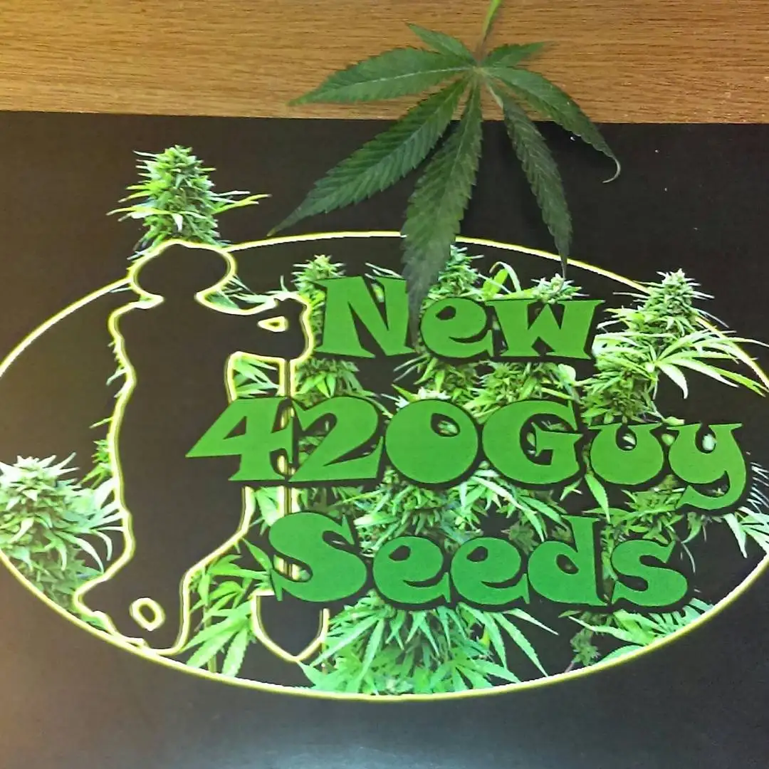 New420Guy Seeds