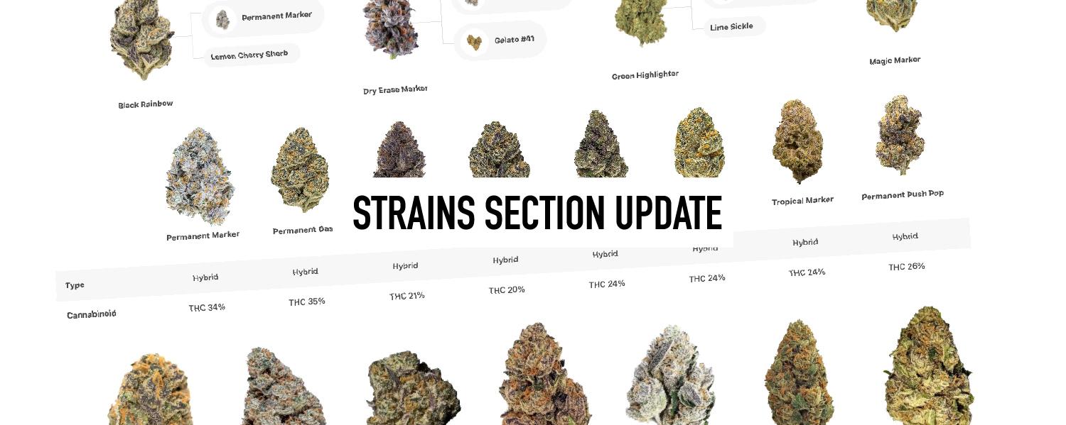 UPDATE: Enhanced Strains Section
