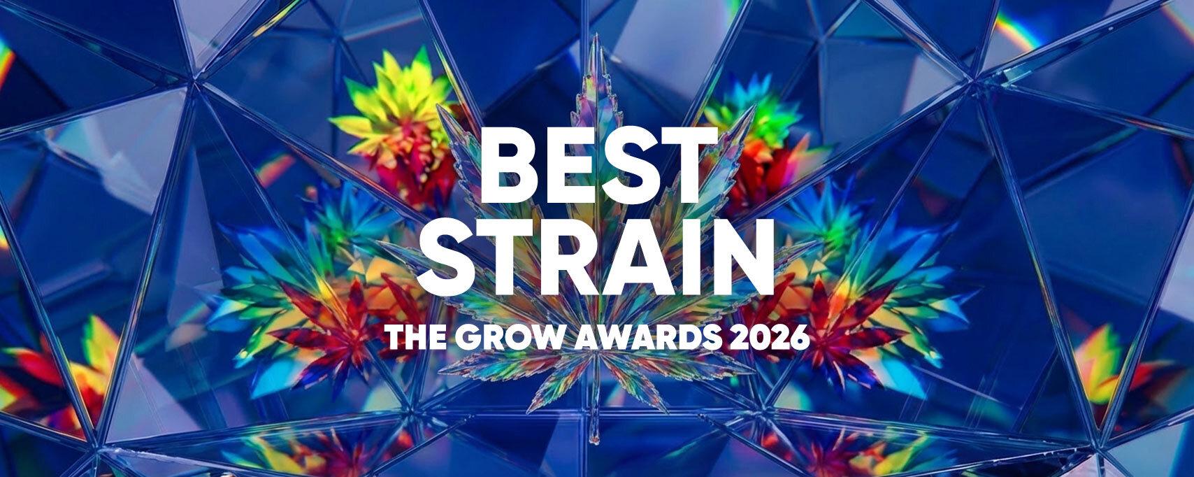 Grow Awards 2026: Best Strain
