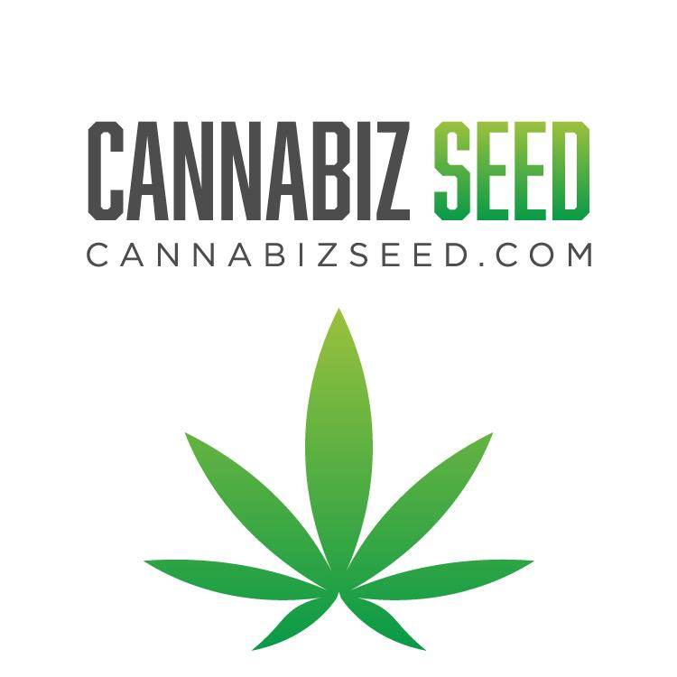 What Should You Look for When Buying Cannabis Seeds?