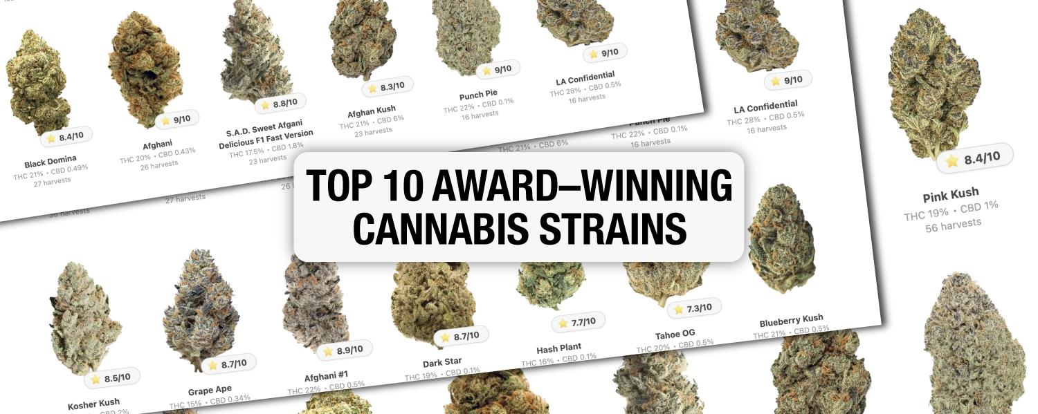 Top 10 Award-Winning Cannabis Strains: GrowDiaries Selection