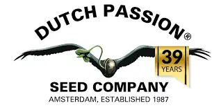 Dutch Passion