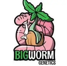 Bigworm Genetics