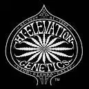 Hi-Elevation Genetics