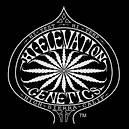Hi-Elevation Genetics