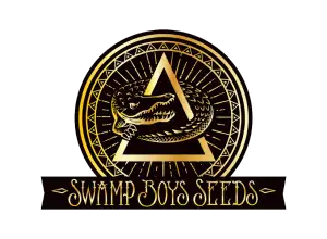 Swamp Boys Seeds