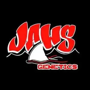 Jaws Genetics