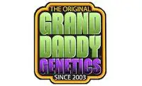 Ken's Grand Daddy Purp Genetics