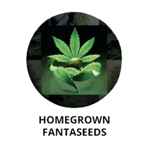 Homegrown Fantaseeds