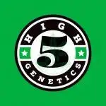High Five Genetics