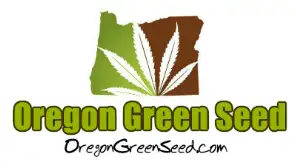 Oregon Green Seed